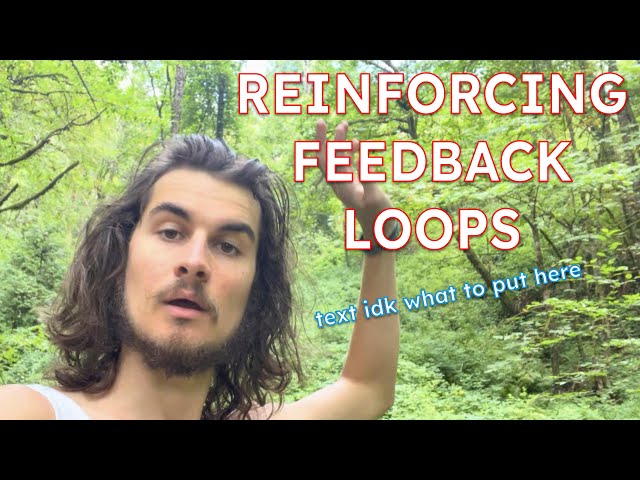 Reinforcing Loops || Systems Theory