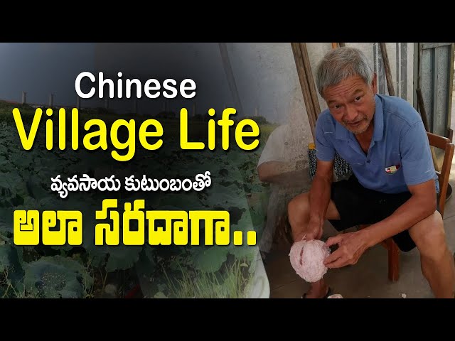 Chinese Village Life || A Day with Agricultural Family || Vinod Vlogs from China