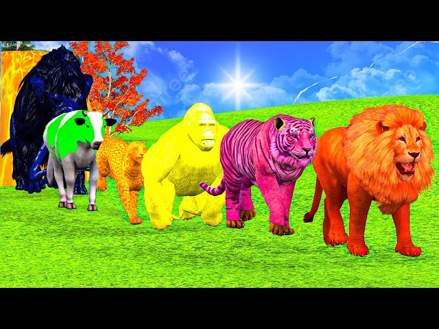 Paint And Animals Lion, Tiger, Gorilla, Horse , Cow, Elephant,Fountain Crossing Animal | kidzoo crew