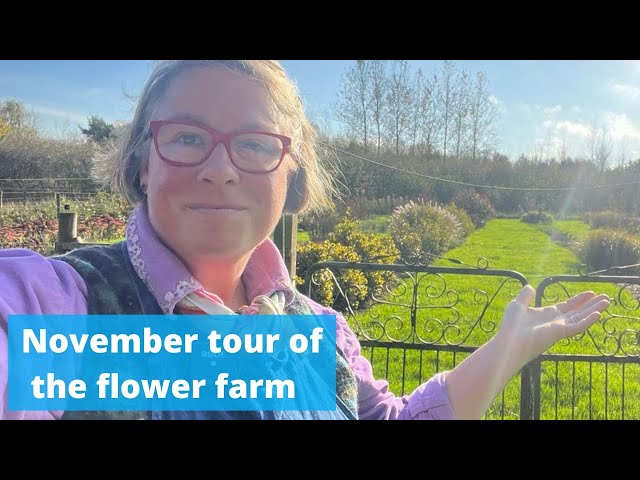 November tour of the flower farm with thoughts about small businesses throughout x