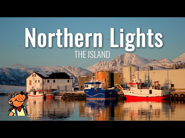 Chasing Northern Lights・Part III : The Island 🇳🇴