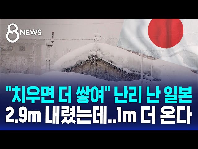 "치우면 더 쌓여" 일본도 비상…2.9m 내렸는데 "1m 더 온다" / SBS 8뉴스