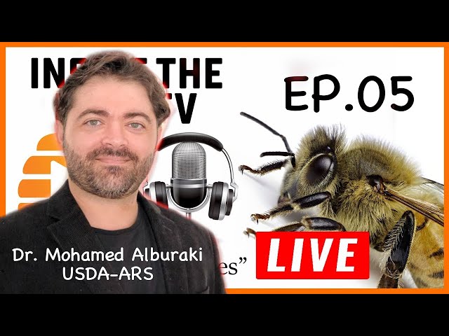 Honey bee genetic diversity in the U S    Dr  Mohamed Alburaki   USDA  ARS