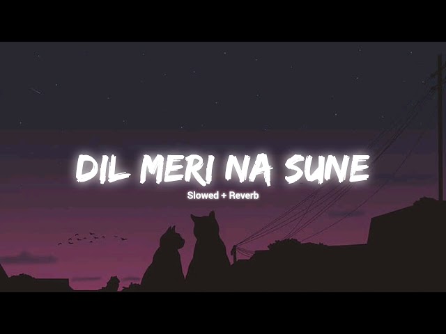 Dil Meri Na Sune | Slowed and Reverb |