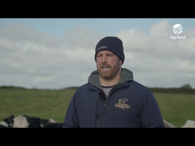 Sean O'Brien's suckler and dairy-beef farm in Carlow