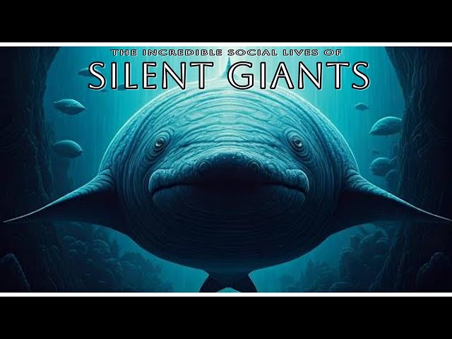 Ocean Titans: The Silent Giants of the Deep | Wildlife Documentary