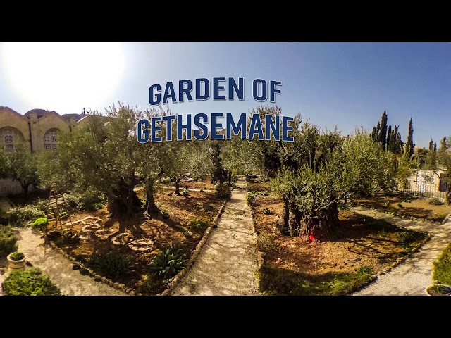 Virtual Tour - Garden Of Gethsemane