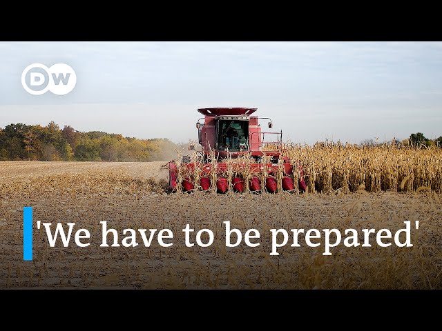 How inflation and economic policy impact the work of US farmers | DW News