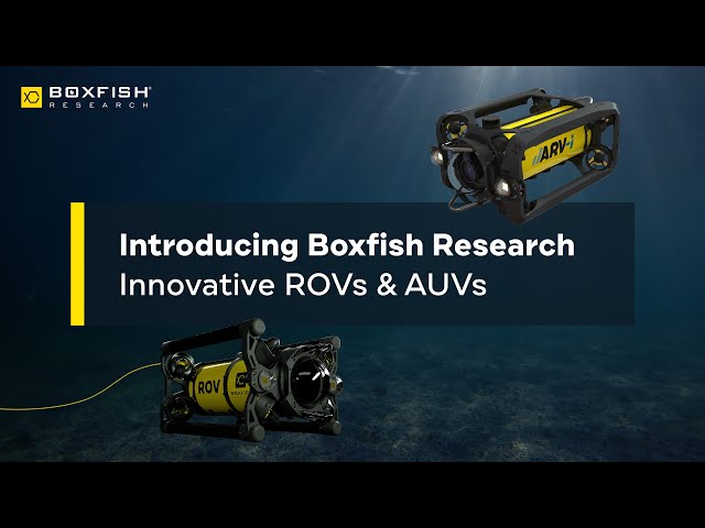 Boxfish Tethered ROVs and Autonomous Solutions