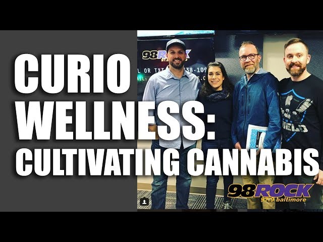 Curio Wellness Center - Cultivating Cannabis