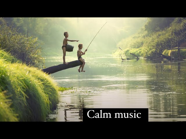 Scenic Relaxation Film With Calming Music | Meditation Music | Peaceful Music | Deep Sleep  #focus