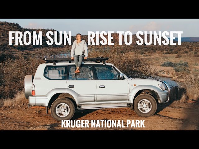 A Typical Day On A Self-Drive Safari | Kruger National Park