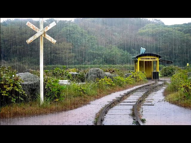 Healing Rain Sounds - White Noise for Sleep, Relax, Study, Concentrate, Yoga, Meditation