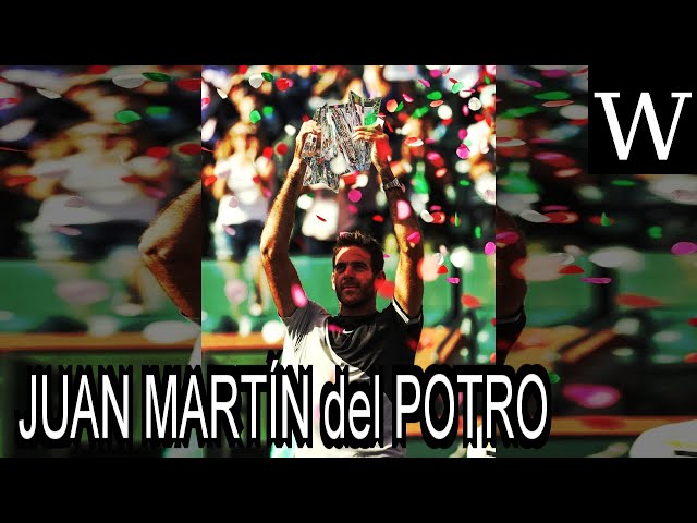 JUAN MARTÍN del POTRO - WikiVidi Documentary