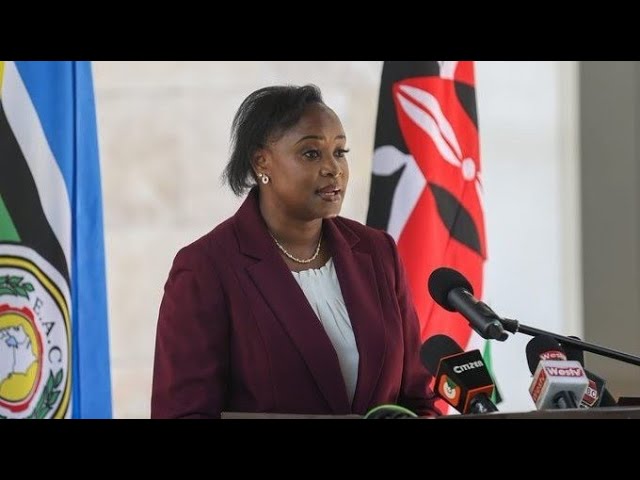 LISTEN TO UHURU KENYATTA SPOKES PERSON KANZE DENA SPEECH ON STATUS OF THE NAIROBI PEACE PROGRESS