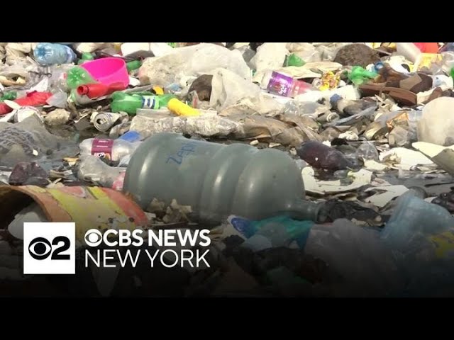 Plastic is everywhere, including in our brains, study says