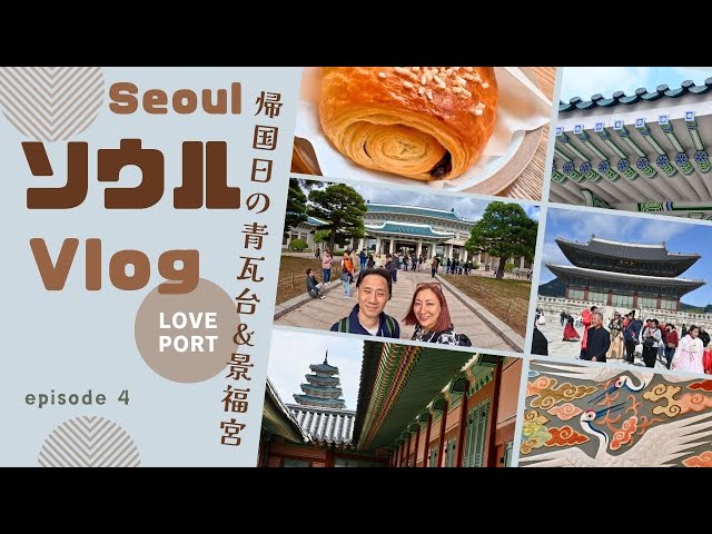 [🇰🇷Seoul] Last day✨ Walking around the Blue House and Gyeongbokkun | around the historic city [#240]