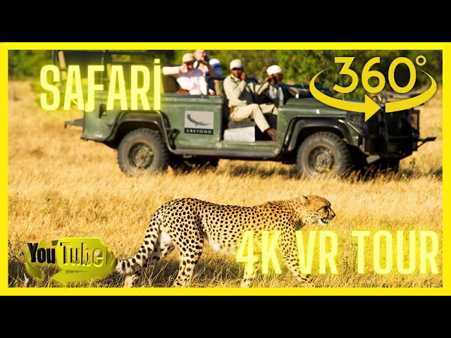 🌴🦒🦁🐘 Safari 360: African Safari in 4K