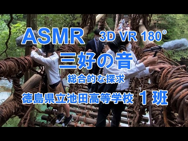 【ASMR】総合的な探究｜3D VR 180°『徳島県立池田高等学校』1班による“祖谷のかずら橋”