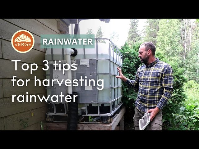 The 3 Most Important Tips for Safe & Effective Rainwater Harvesting ANYWHERE in the World