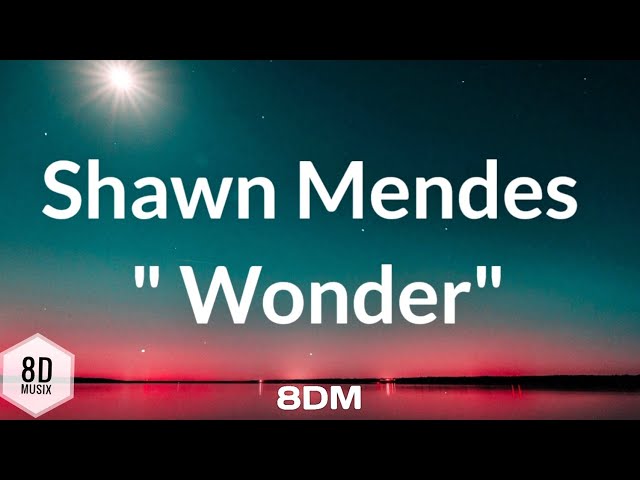 Shawn Mendes - Wonder (lyrics)