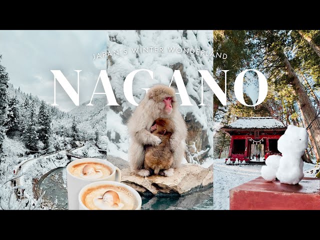 Nagano, Japan’s Hidden Gem | Snow Monkey Park ♨️ Togakushi Shrine & famous soba 🍜