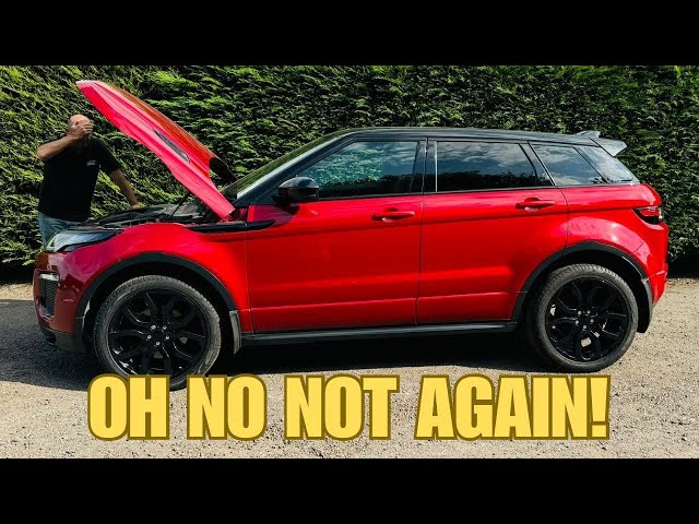 WE BOUGHT ANOTHER BROKEN LAND ROVER EVOQUE WITH A DEAD ENGINE