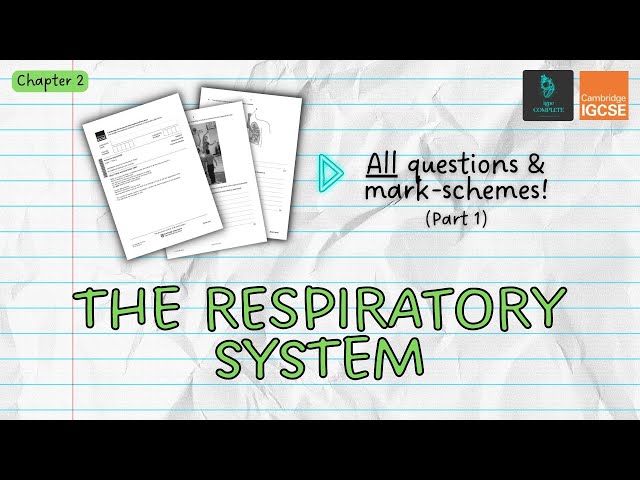 QUESTIONS, A* ANSWERS & MARK SCHEMES - Respiratory System (Ch 2) - IGCSE PE exam revision