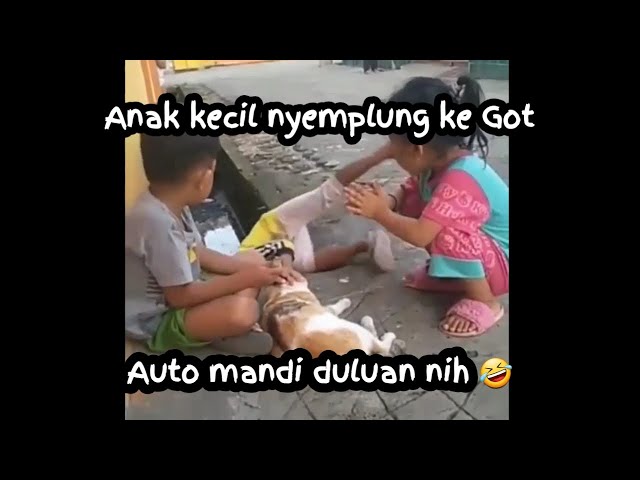 Auto mandi duluan