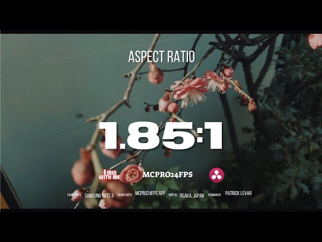 Mcpro24fps | 1.85:1 Crop | Mobile Filmmaking