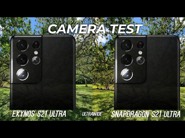 Samsung Galaxy S21 Ultra Exynos vs Snapdragon Camera Test - THIS MUST STOP!