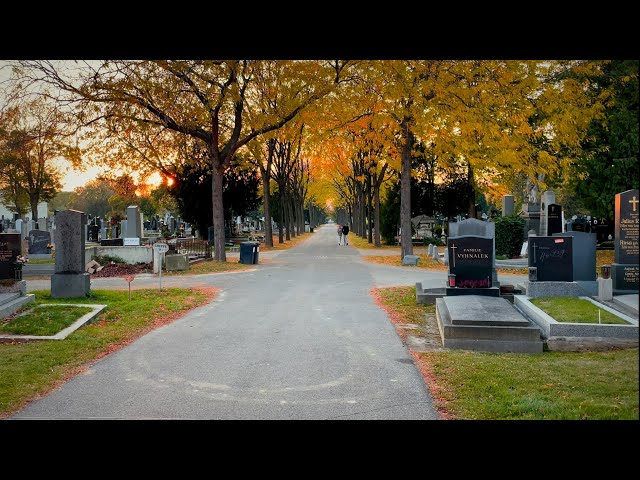 Vienna Walking Tour in Vienna Central Cemetery (Wiener Zentralfriedhof), Austria | 4K HDR | ASMR