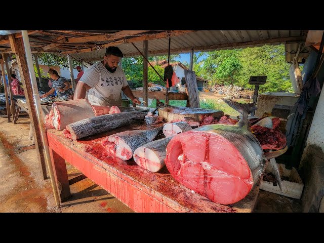 Incredible Fish Cutting Skills at the Vibrant Street Fish Market