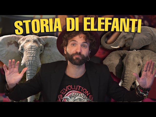 Un ELEFANTE come non l’avete MAI visto