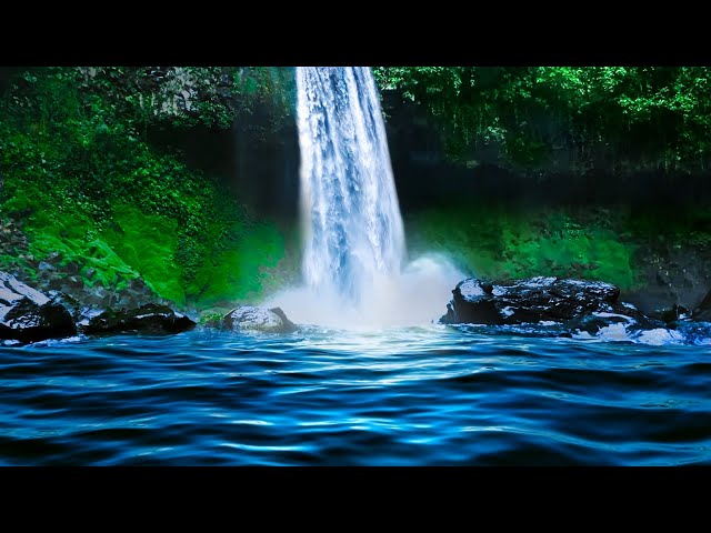 Use This Waterfall White Noise for Sleeping & Relaxing