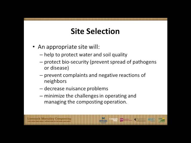 Management of animal mortality compost piles