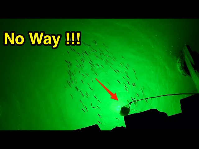 Crazy shark attack while fishing with LED light.