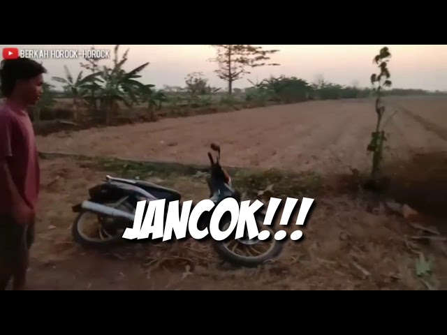 STORY WA JAWA LUCU-KATA EMAK