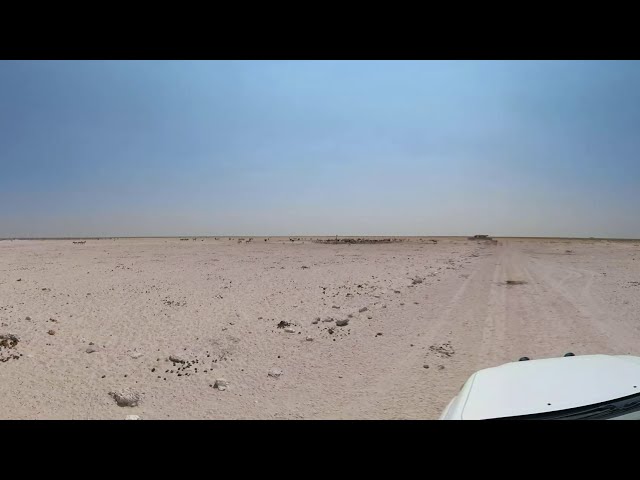 VR 360° 4K - Massive Herds of Plain Game at the Waterhole - Namibia, Africa