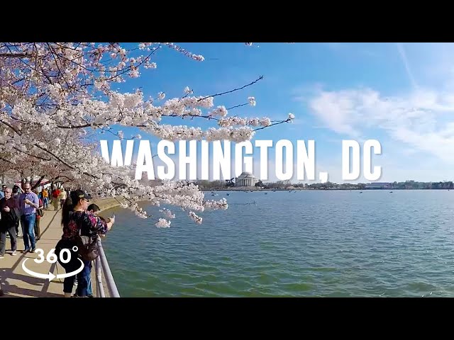 Washington, DC Guided Tour in 360° VR