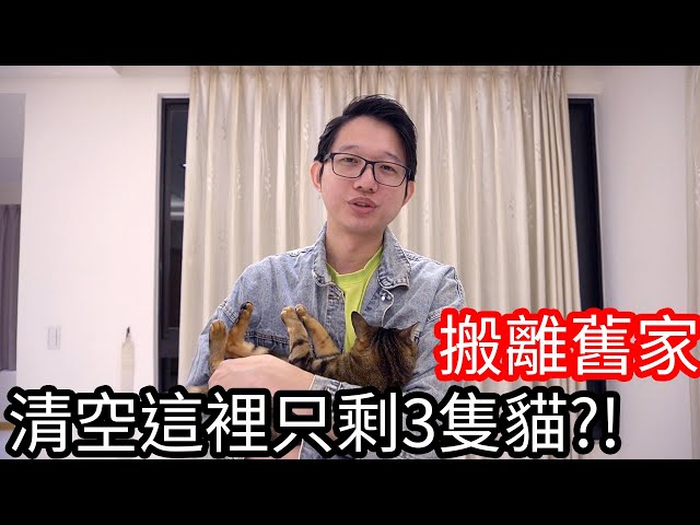 【阿金生活】搬離舊家 清空這裡只剩下3隻貓!?