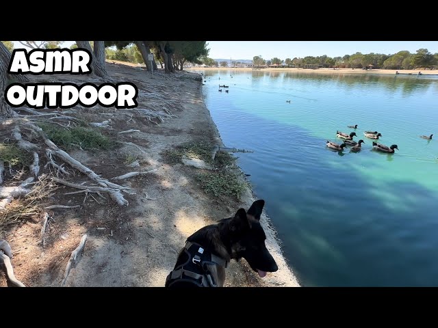 ASMR at the PARK😴 ft. My dog 🐕