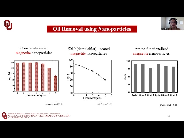 Produced Water Demulsification Using Maghemite Nanoparticles