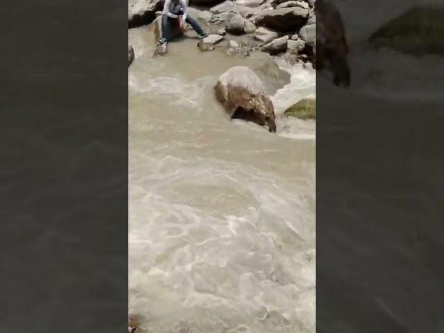 Kedarnath Yatra🙏🙏 Indian Pinky