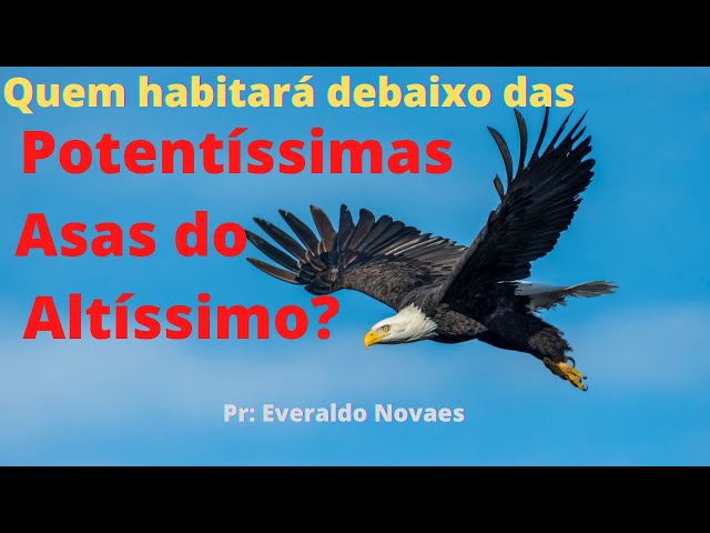 QUEM HABITARÁ DEBAIXO DAS POTENTÍSSIMAS ASAS DO ALTÍSSIMO #igreja