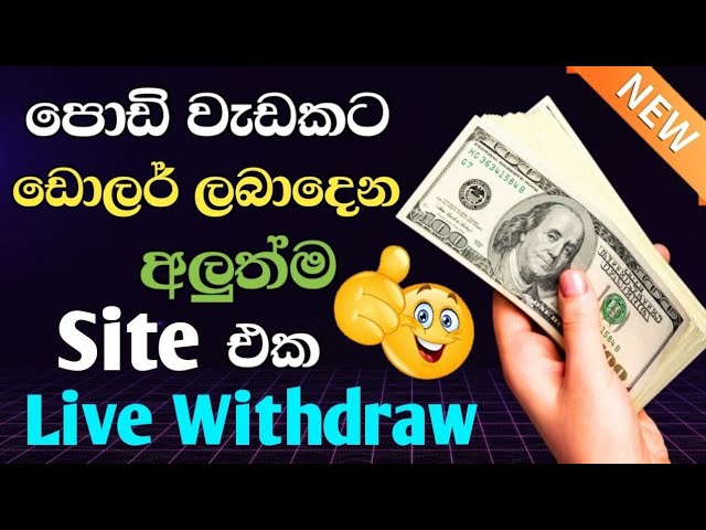 How to Earn Money Online Sinhala 2024 | New USDT Earning Site | Live Withdraw #usdt