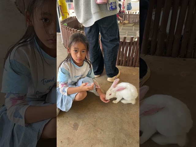 Feeding lovely rabbit 🐇 #liya #dailyvlog #reaksa #kidsvlog #weekend #holiday #farm #rabbit