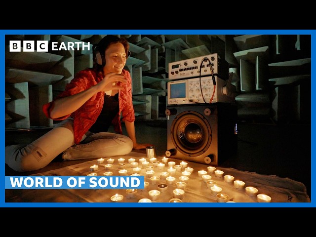 Visualising The World Of Sound | BBC Earth Science