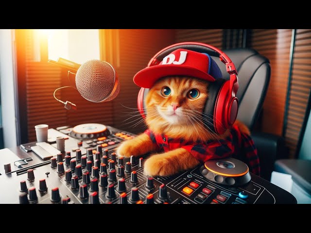 😿🎶SAD CAT STORIES WITH RELAXING MUSIC: A HEARTFELT JOURNEY | 🔴LIVE Cat Music Studio