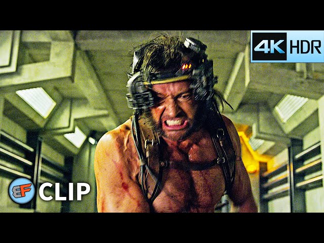 Wolverine Weapon X Scene | X-Men Apocalypse (2016) 4K HDR Movie Clip